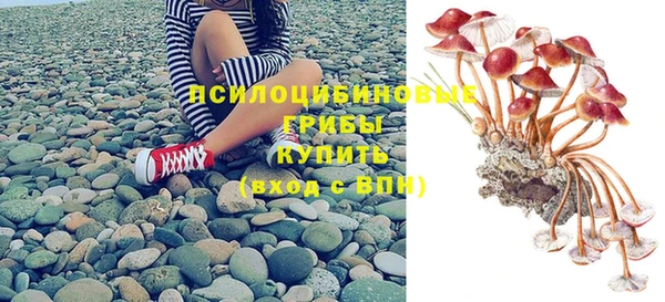 каннабис Дубна
