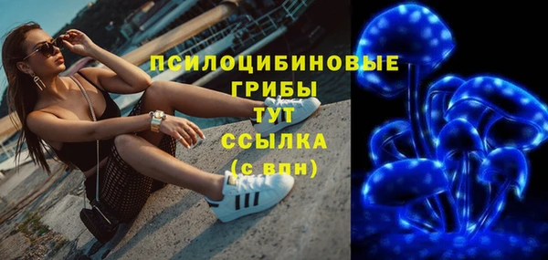 стаф Покачи