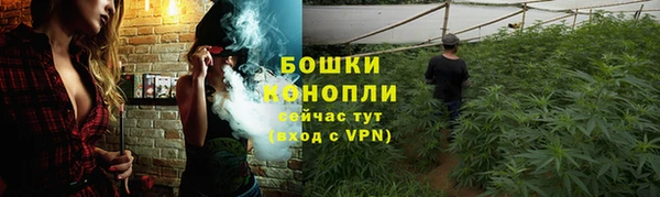 гидра Пестово