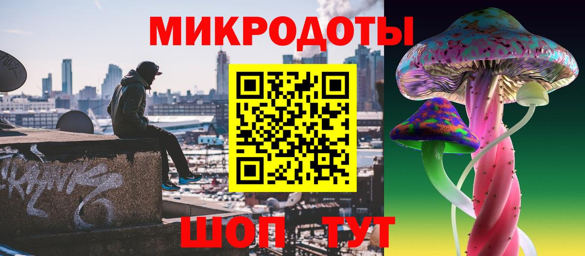 Псилоцибиновые грибы Psilocybe Чистополь